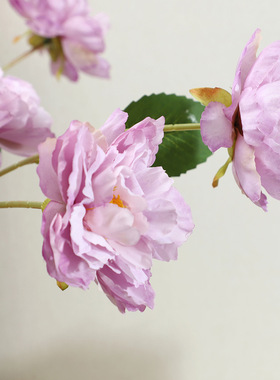 兰桂坊4头牡丹花仿真花束婚庆布景道具家居客厅装饰假花摆件批发