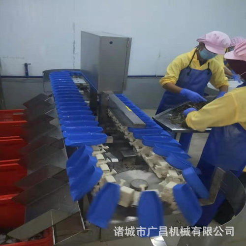 【小额 】鸡爪料盒式自动分级机 鸡翅鸡腿重量分拣机器 - 图2