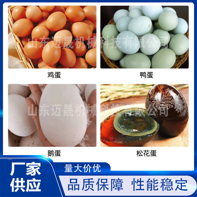 商用全自动洗蛋机养殖场鸡蛋鸭蛋松花蛋清洗去泥设备自动化洗蛋机,淘宝优惠券,粉丝福利购,淘宝优惠卷