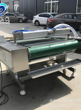 全自动滚动式真空包装机鸭蛋生鲜肉类真空包装机泡椒鸡爪封口机