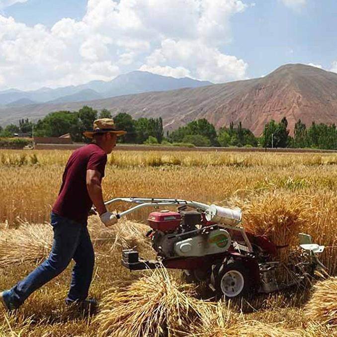 力家用小麦CJJ水稻收割打捆一体机大马割柴捆机桑油树条收割捆绑,淘宝优惠券,粉丝福利购,淘宝优惠卷