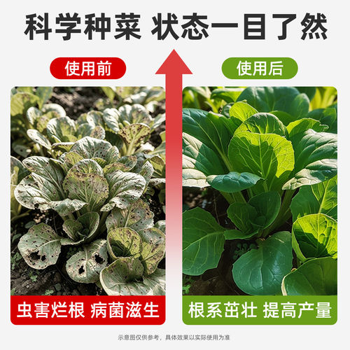 生石灰粉杀虫种菜消毒专用高纯度防霉防潮农业改良蔬菜土壤干燥剂 - 图3