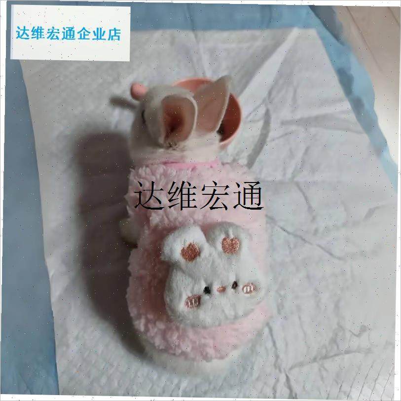 超小兔子衣服秋冬装保暖加绒背B心小型犬宠物兔兔服饰可爱兔子衣,,淘宝优惠券,粉丝福利购,淘宝优惠卷