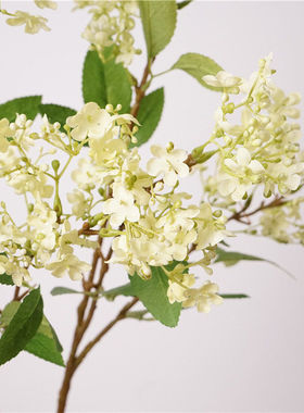 田园仿真花琼花小碎花满天星客厅家居装饰花插花假花清新自然
