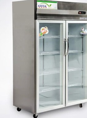 新品龙美立式两门展示柜冷藏冰柜饮品饮料保鲜陈T列展示蔬菜商用