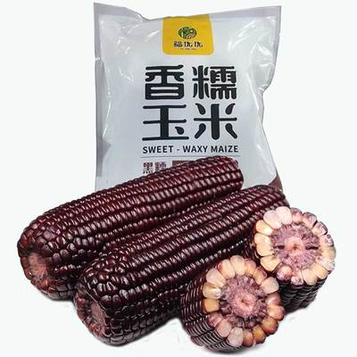 福优优香糯黑玉米真空锁鲜包装早餐代餐粘黏甜糯黑糯玉米棒非即食