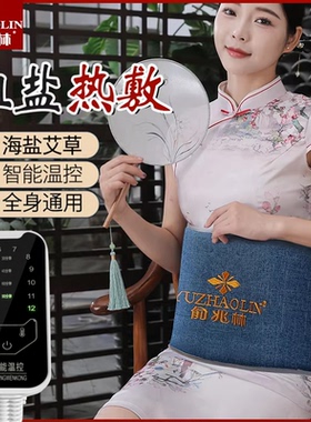 俞兆林电加热粗海盐包护腰带全身家用艾灸热敷腰间盘热敷盐袋突出