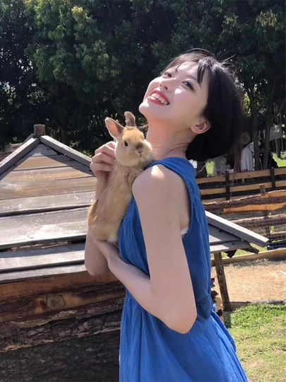 French style pure lust blue sleeveless vest dress for women summer new design unique and beautiful waist long skirt