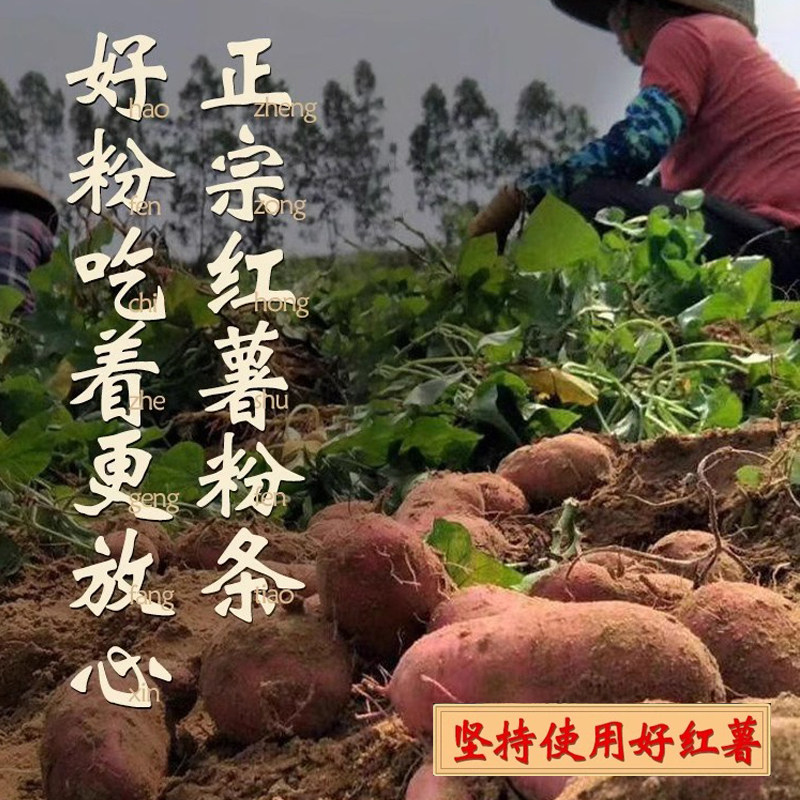 碎粉条正宗农家红薯粉条碎5斤包子饺子馅专用碎粉丝河南特产粉条,淘宝优惠券,粉丝福利购,淘宝优惠卷