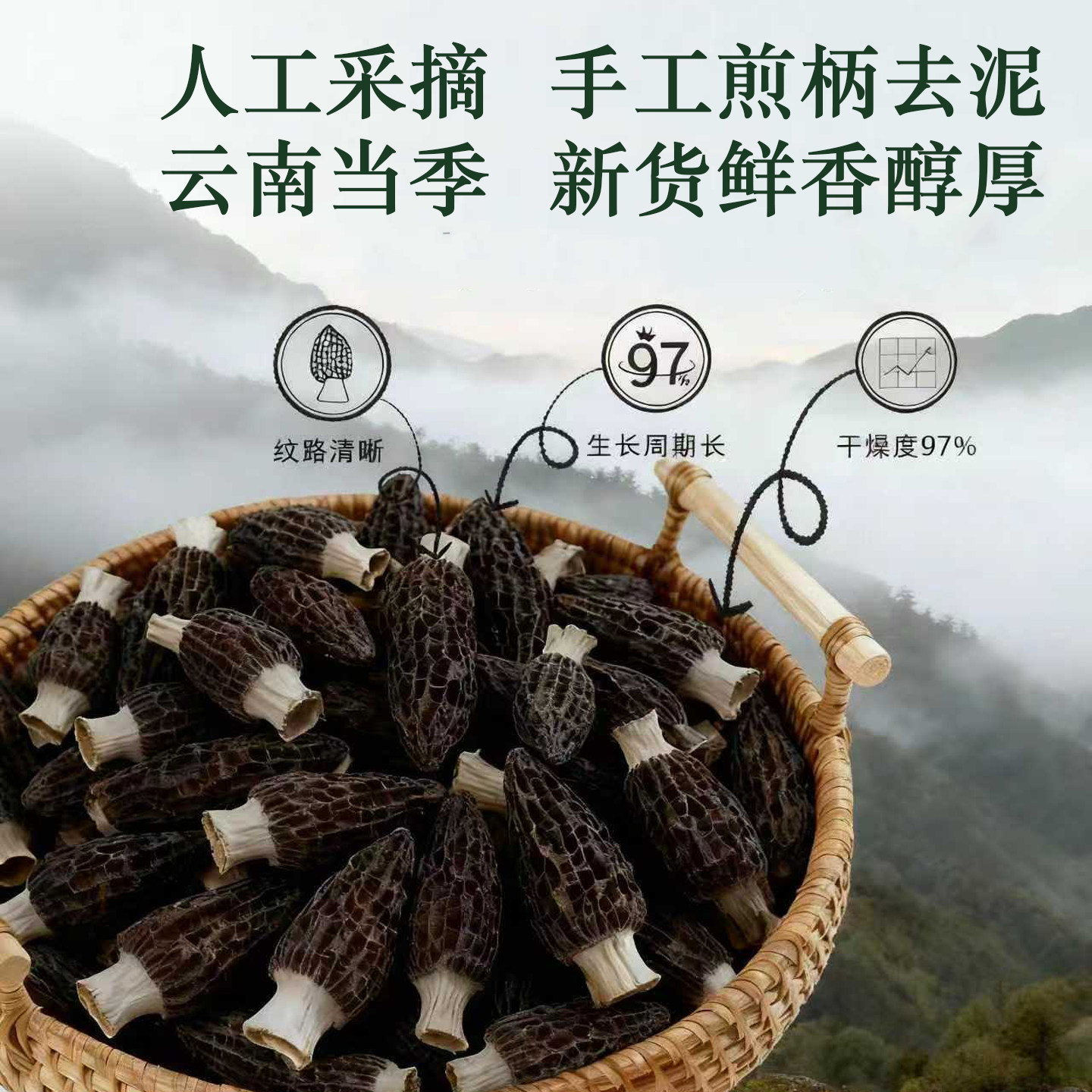 羊肚菌干货非特级野生500g新鲜菌菇煲汤干货食材旗舰店礼盒云南,淘宝优惠券,粉丝福利购,淘宝优惠卷