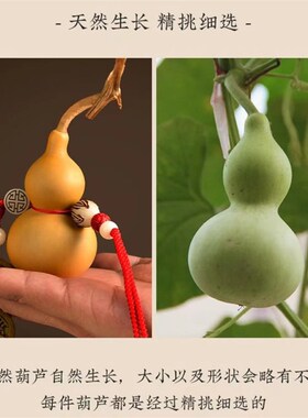 门对门五帝钱天然葫芦挂件带龙头车挂黄线纯铜钱开口大门口吐莲花