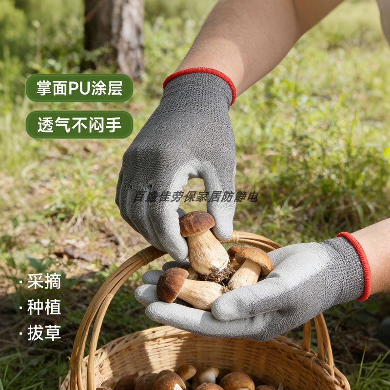 Special anti-slip coated palm for picking up mushrooms and farming