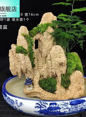 吸水石盆景上水石摆件鱼缸假山流水造景室内微景观奇石客厅观赏石