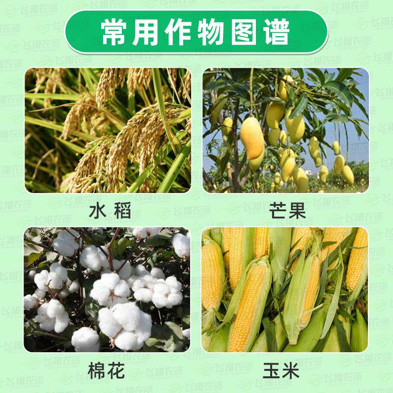 先正达中化磷酸二氢钾蔬菜瓜果树花卉花肥通用肥钾肥磷肥叶面肥料,淘宝优惠券,粉丝福利购,淘宝优惠卷