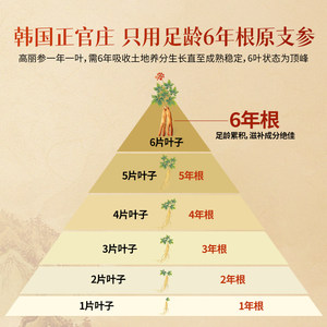 【送礼推荐】正官庄官方高丽参良参50支37.5g正品6年根人参滋补
