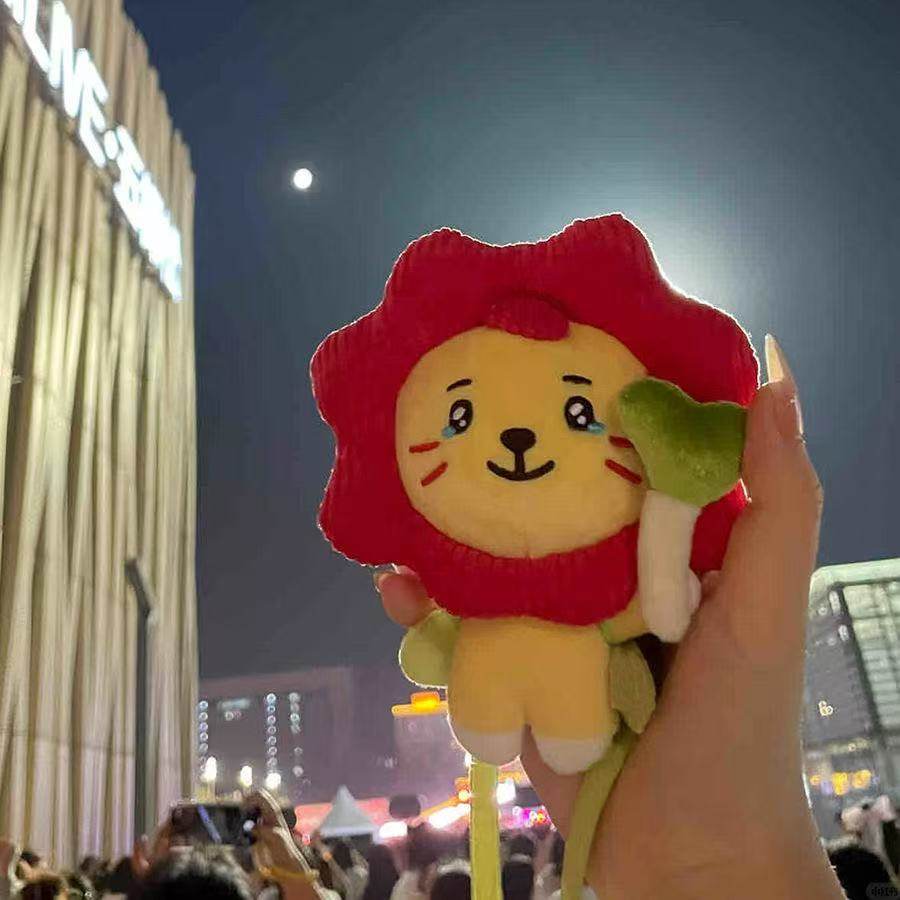 现货小红书王源同款莱阳周边小哭包玩偶棉花娃娃公仔高颜值送闺蜜,淘宝优惠券,粉丝福利购,淘宝优惠卷