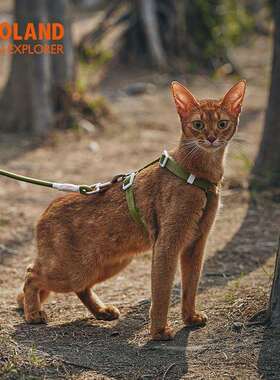 Z幼OLA工ND猫咪牵引绳子防挣脱遛大小猫高颜值EWR加长调节字型可