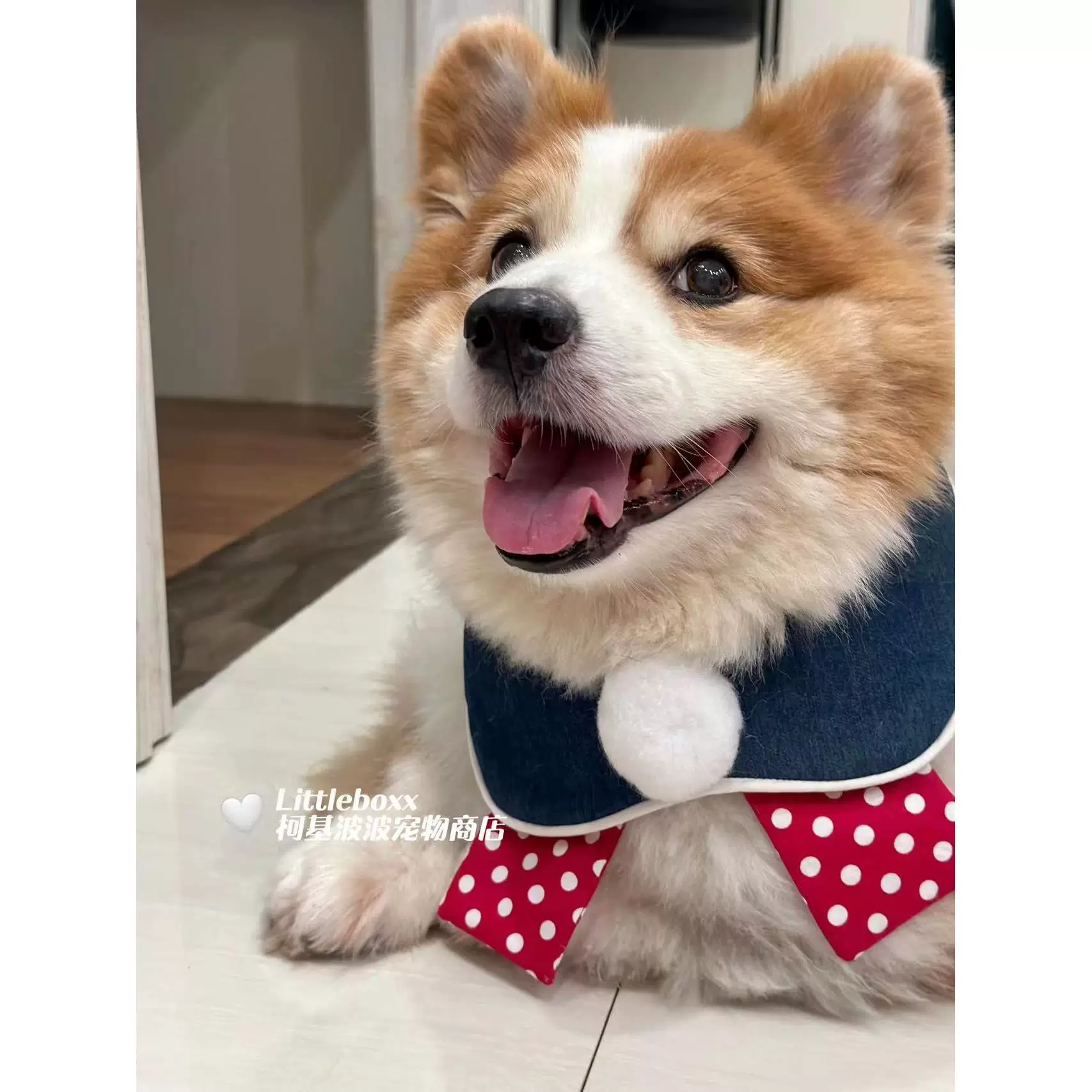 Собачий и кошачий шарф-плед в стиле Corgi Popo, красно-белый горошек, ретро большой шар, саливатный шарф-трость, индивидуальный нагрудник