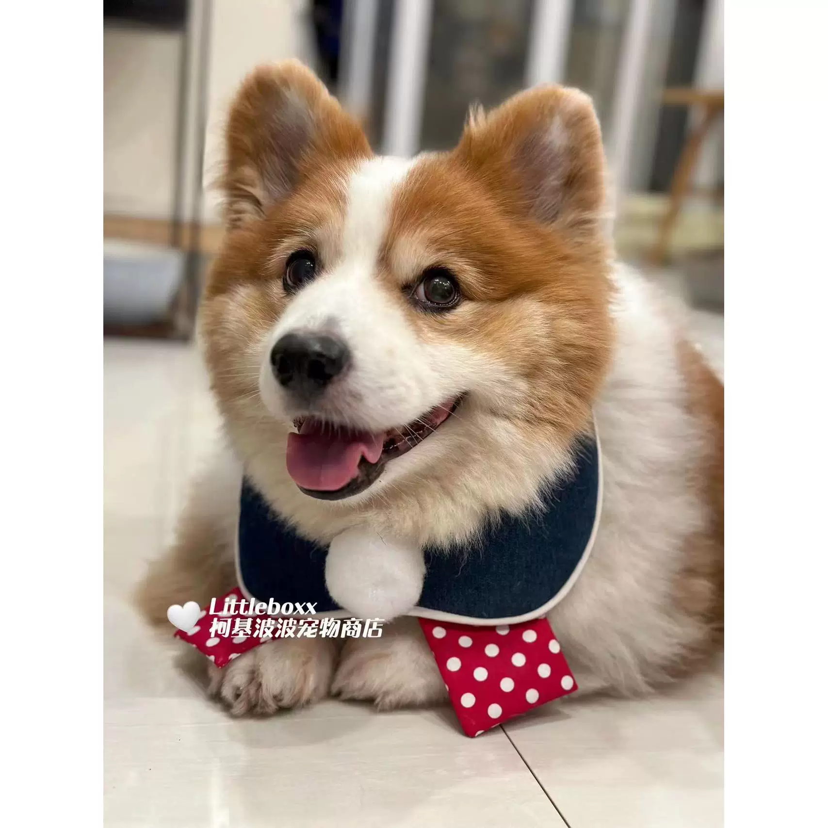 Собачий и кошачий шарф-плед в стиле Corgi Popo, красно-белый горошек, ретро большой шар, саливатный шарф-трость, индивидуальный нагрудник