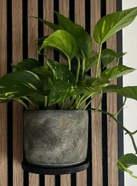 亚马逊跨境 用于隔音板墙花盆支架 植物托盘植物架子绿植悬挂盆栽