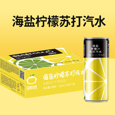 田园约定海盐柠檬味苏打水气泡水碳酸饮料真果汁330ml*24罐整箱装