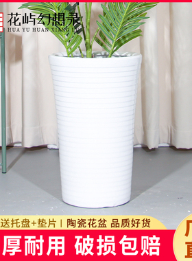 高筒锥形陶瓷大花盆白色简约现代家用客厅幸福树百合竹天堂鸟绿植