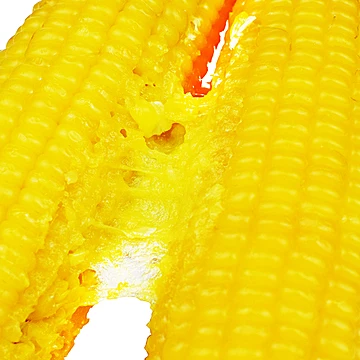 首单1！啃糯黄糯玉米2025新鲜采摘8根[2元优惠券]-寻折猪