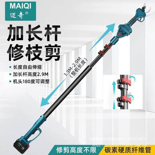 电动剪刀果树充电式修枝剪锂电无线加长高枝剪德国进口剪树枝 - 图0