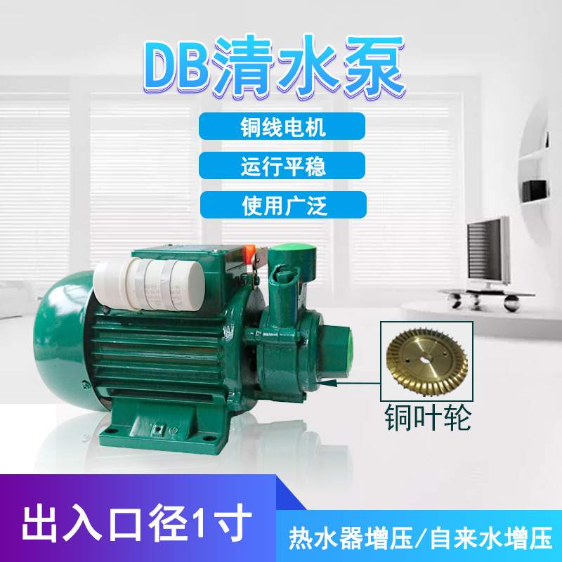 1DB45增压泵220V家用花园厂房自来水管道增压微型清水离心泵 - 图1