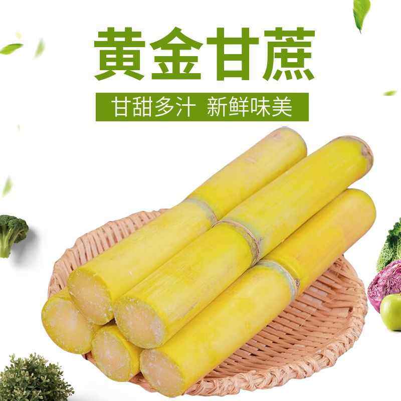 云南黄金甘蔗当季新鲜脆甜黄皮甘蔗中段热带水果正宗特产新鲜现摘,淘宝优惠券,粉丝福利购,淘宝优惠卷