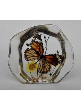 树脂桌面摆件昆虫标本蝎子蜘蛛蝴蝶海景创意礼品家居装饰生日礼物