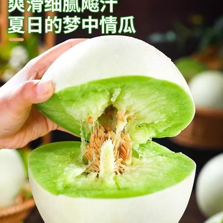 海南玉菇甜瓜蜜瓜正宗新鲜水果应季现摘当季冰淇淋香瓜甜瓜整箱