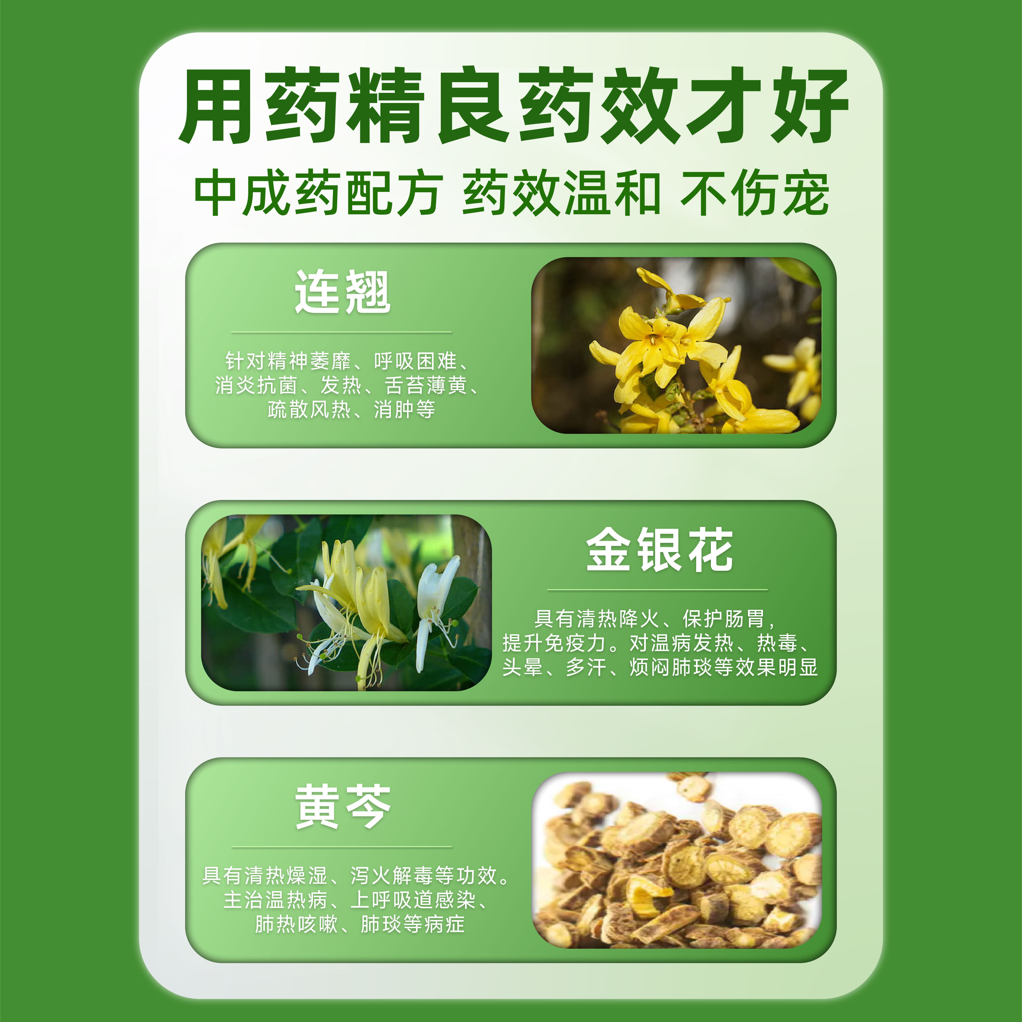 康必持狗狗专用感冒药打喷嚏宠物猫咪小狗发热流鼻涕常备药,淘宝优惠券,粉丝福利购,淘宝优惠卷