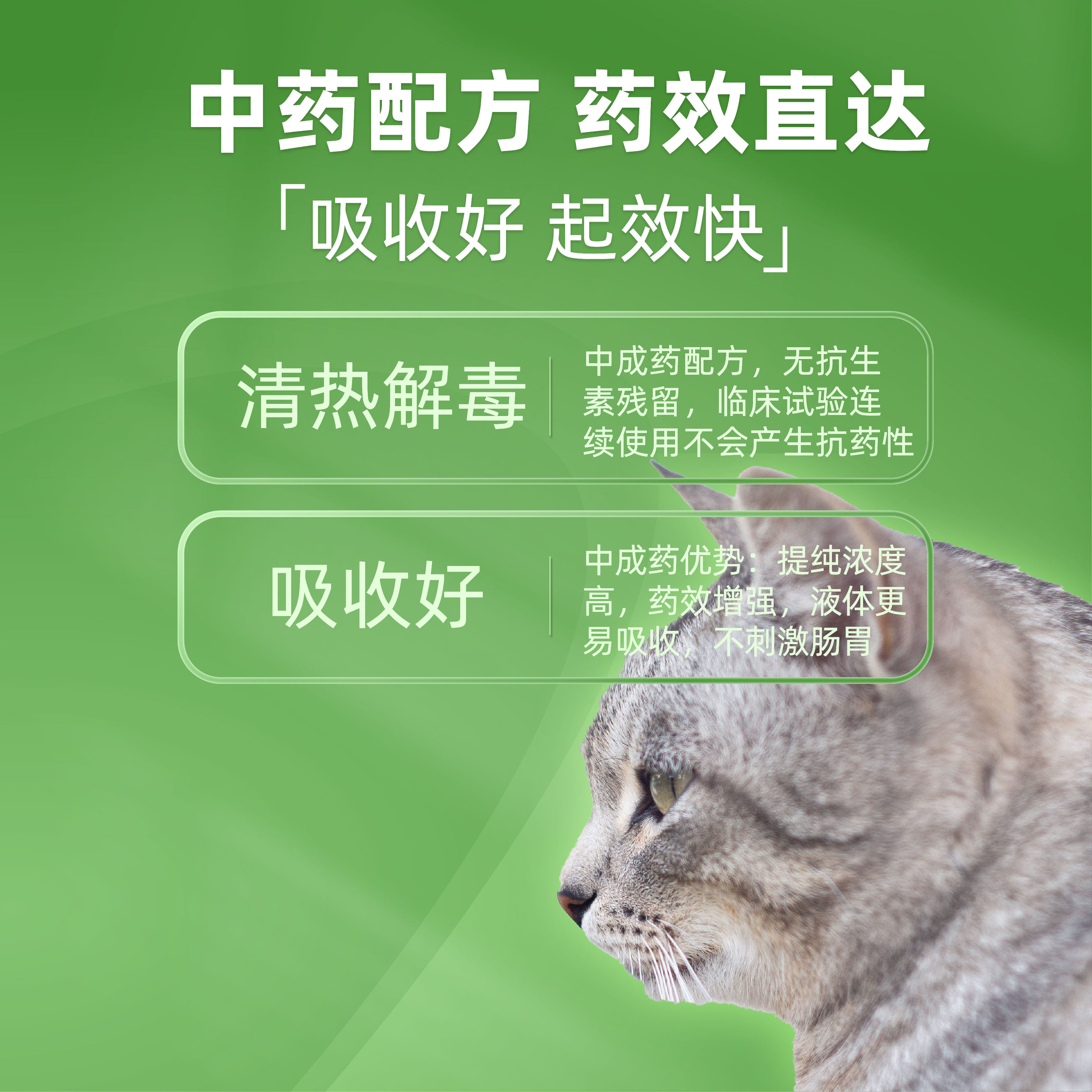 康必持狗狗专用感冒药打喷嚏宠物猫咪小狗发热流鼻涕常备药,淘宝优惠券,粉丝福利购,淘宝优惠卷
