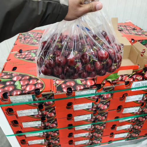智利进口5j车厘子5斤原箱JJJ级新鲜孕妇水果桑提娜车厘子4J礼盒装 - 图1