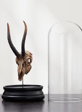 简约现代动物骨化石骨骼摆件创意个性家居客厅酒柜办公室装饰品