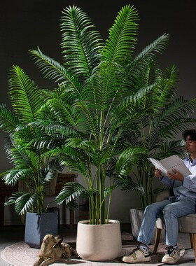 高级仿真绿植大型散尾葵假树仿生绿色植物凤尾竹室内造景装饰摆件