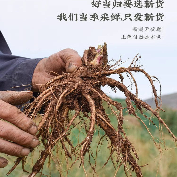 当归头片官方旗舰店中药材野生特级新鲜当归黄芪党参组合装补气茶,淘宝优惠券,粉丝福利购,淘宝优惠卷