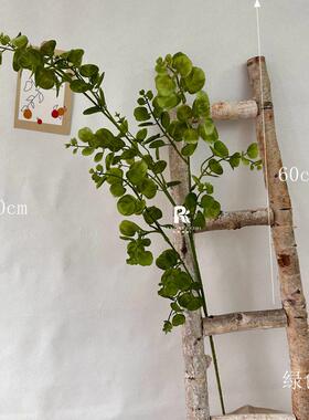 婚AL-1282礼仿花尤真加利金钱叶婚庆绿叶植装花饰道具铜钱叶花束