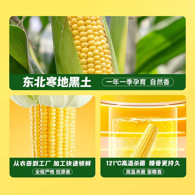 十月稻田黄糯玉米220g*8支东北粘苞米香甜糯黏玉米棒子真空装