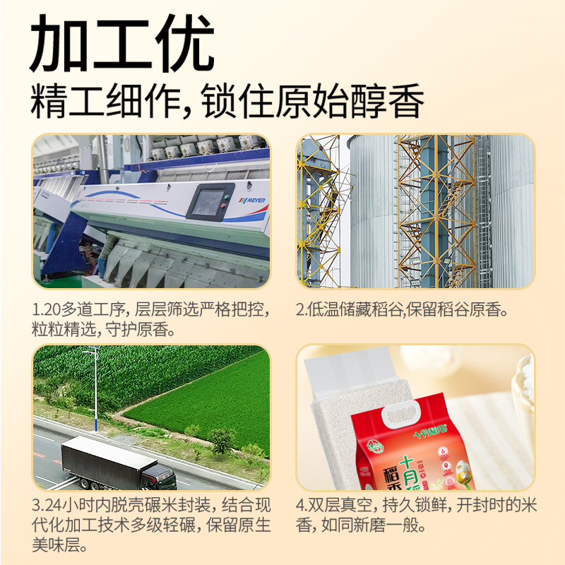 十月稻田稻香米5kg东北大米真空包装米粒饱满25年新米香米10斤