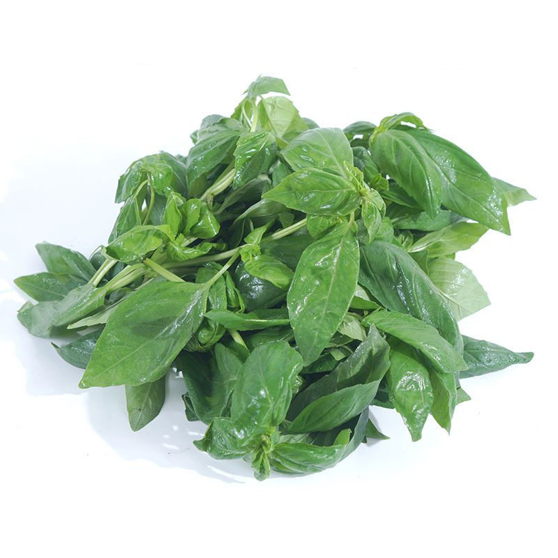 罗勒叶新鲜食用青酱制作大叶罗勒西餐食材摆盘装饰调料香料菜,淘宝优惠券,粉丝福利购,淘宝优惠卷