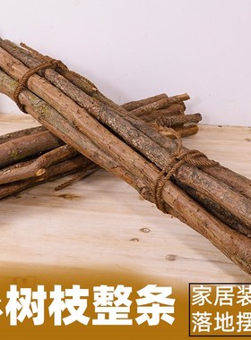 杉木原木树干围栏实木干树干落地造景装饰造型树原木树枝干干木头