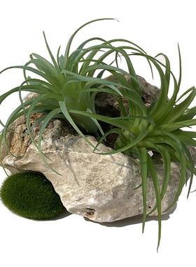 仿真空气草植物 假多肉凤梨草盆栽家居客厅摆件 绿植墙假花装饰