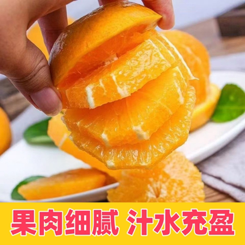 湖北长阳纽荷尔脐橙现摘鲜橙9斤装大果应季水果新鲜甜橙手剥橙子 - 图2