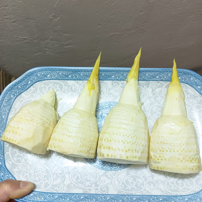 临安发货新鲜冬笋大竹笋鲜笋蔬菜野生冬笋新鲜现挖5斤鲜竹笋 - 图2