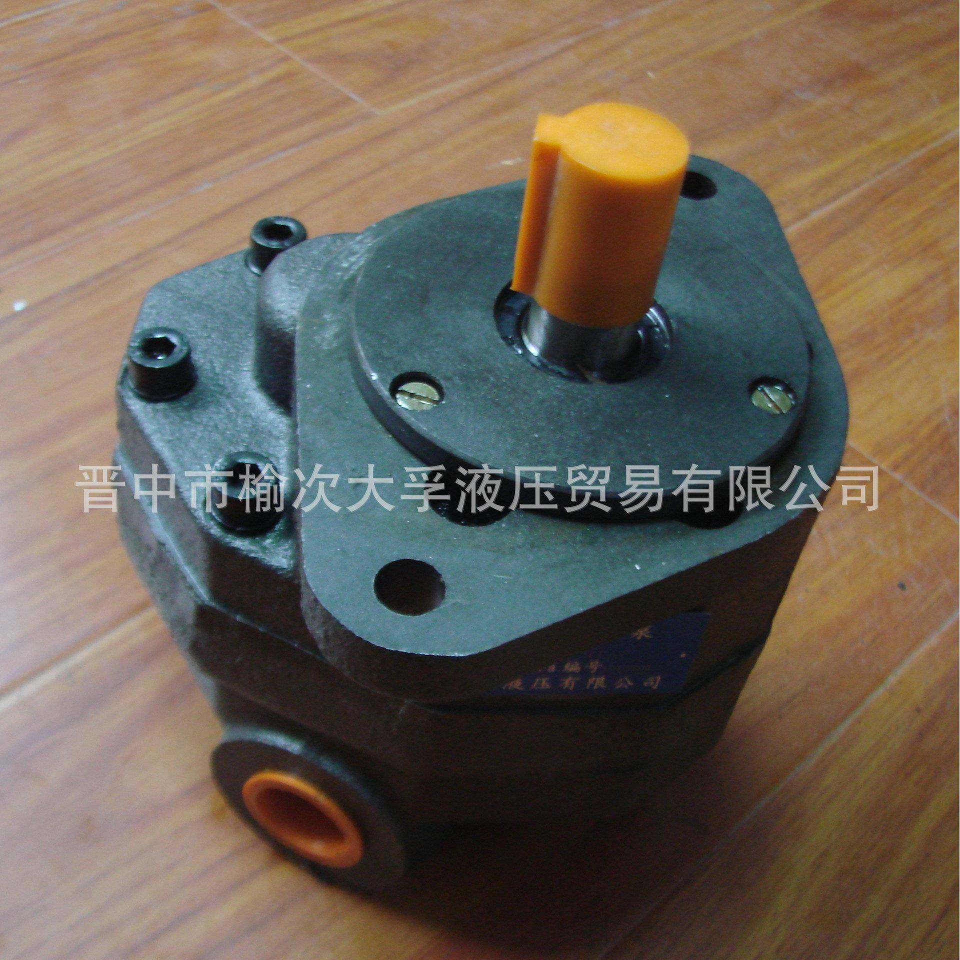 大孚液压齿轮泵CB-FA系列单级齿轮泵小型高粘度齿轮泵油泵,淘宝优惠券,粉丝福利购,淘宝优惠卷