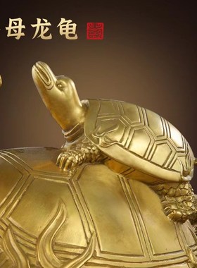 纯铜龙龟摆件g黄铜八卦金钱龟母子龟龙头龟玄武家居鎮宅招財办公