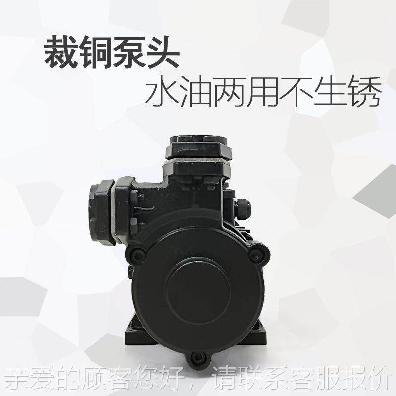 温导热油循环泵热油泵80 vCHR三相TS-高67机1 80 100模温水泵TSR9,淘宝优惠券,粉丝福利购,淘宝优惠卷