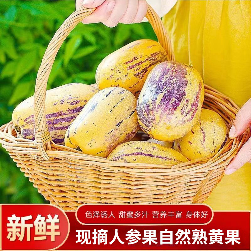 云南石林人参果10斤新鲜大果应季整箱人叁果水果七彩黄肉长果包邮,淘宝优惠券,粉丝福利购,淘宝优惠卷